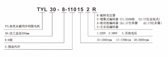 TYL（液冷）系列永磁同步伺服电动机型号说明
